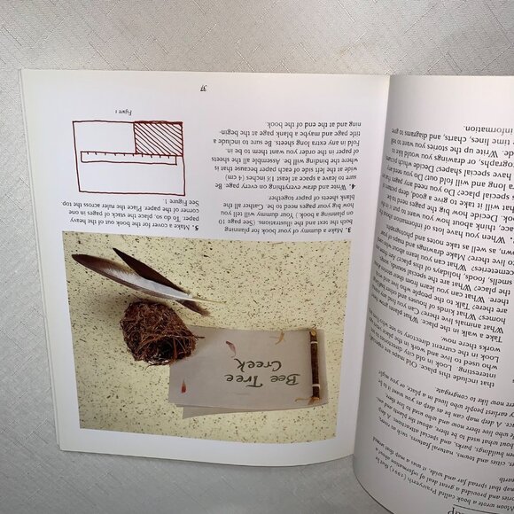 Books For Kids Make Paper Crafting Fly Fold Wrap Hide Pop Twist Turn Gwen Diehn - Picture 4 of 7